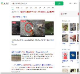两狗大战眼镜蛇 狗主人观战_360搜索