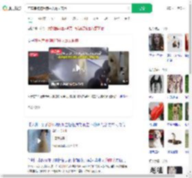 在车库被狗咬狗主人毫无歉意_360搜索