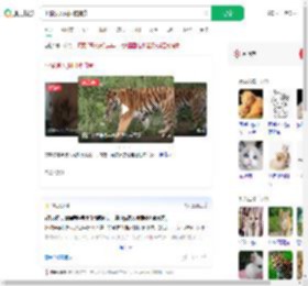 小猫误入虎园被捕食_360搜索