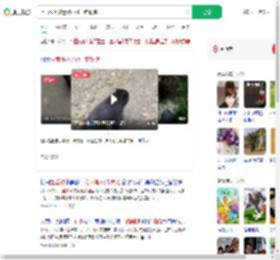 上山捡菌被迷路小熊一路跟随_360搜索