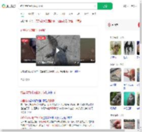 钓鱼佬钓到野生扬子鳄_360搜索