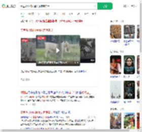 秦皇岛动物园遇猛虎惊魂实录_360搜索