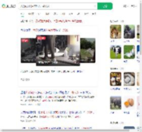 大象闯入居民家吃光一袋大米_360搜索