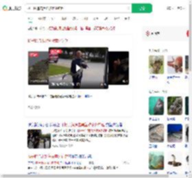 扬子鳄追击黑鱼被意外钓起_360搜索