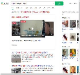 谎称吃出蟑螂敲诈11家餐馆_360搜索