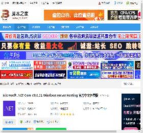 NET8.0下载 Microsoft .NET Core V8.0.21 Windows server Hosting 官方中文免费版 下载-脚本之家