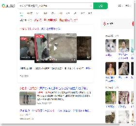网友发自家小猫卡门上成挂件_360搜索