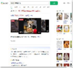 宠物狗坐宝宝椅吃饭_360搜索
