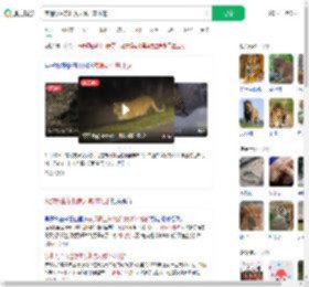 夜遇野生东北虎大喊：本地的_360搜索