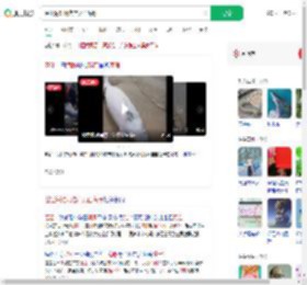 湛江海滩现难产死亡海豚_360搜索